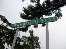 Woodlands Street 13 #106152